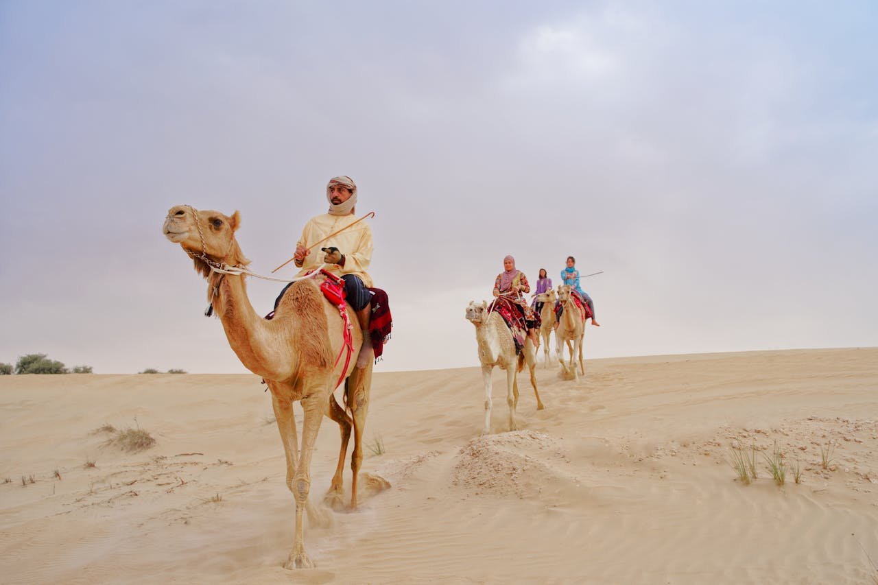 Desert_Safari