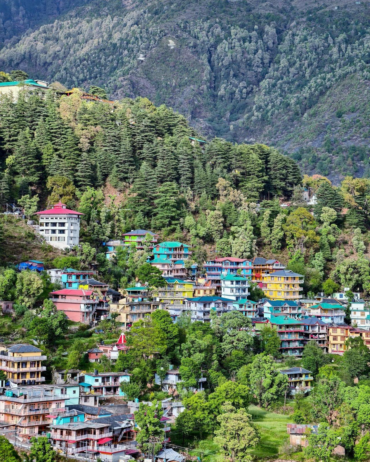 Kashmir_Houses3