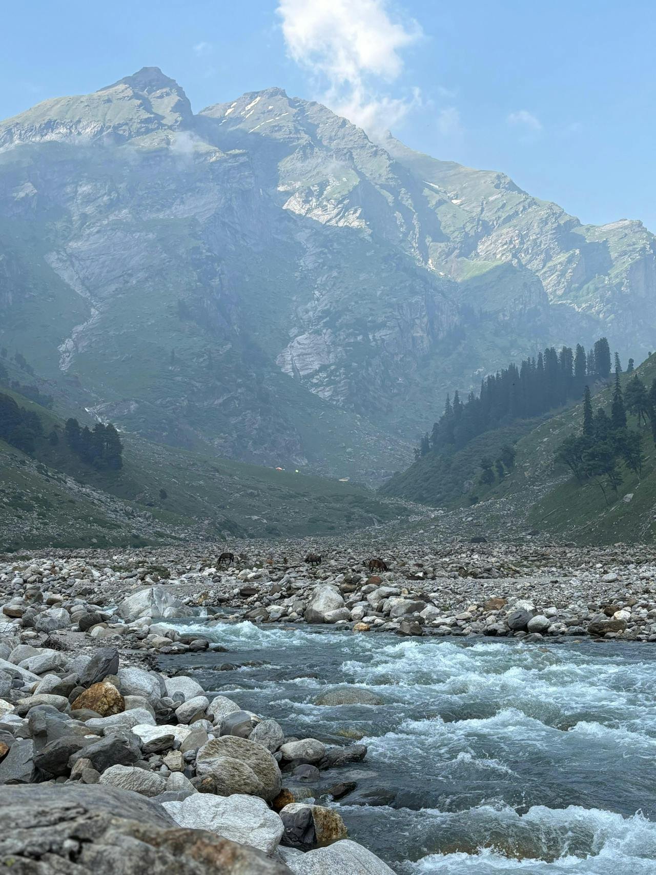 Manali1