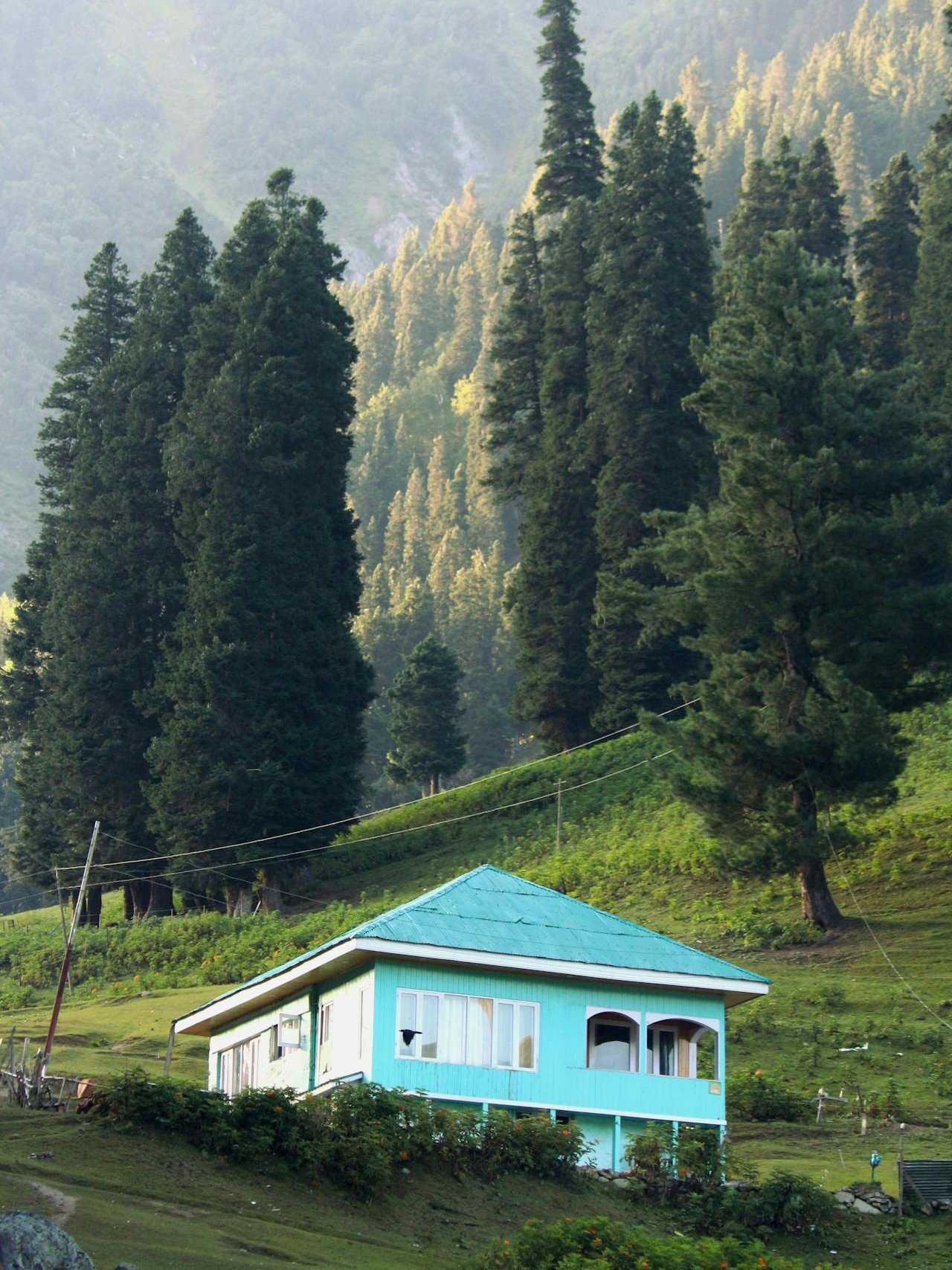 Manali_Hut